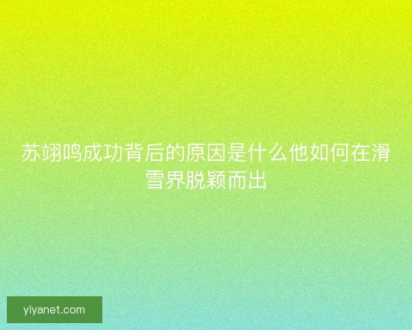 苏翊鸣成功背后的原因是什么他如何在滑雪界脱颖而出