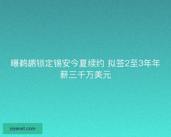 曝鹈鹕锁定锡安今夏续约 拟签2至3年年薪三千万美元