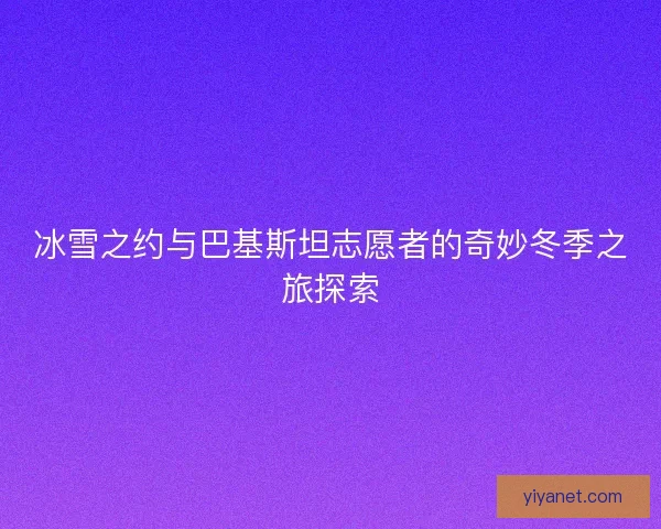 冰雪之约与巴基斯坦志愿者的奇妙冬季之旅探索