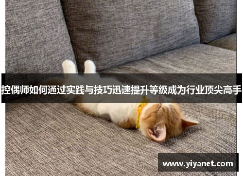控偶师如何通过实践与技巧迅速提升等级成为行业顶尖高手